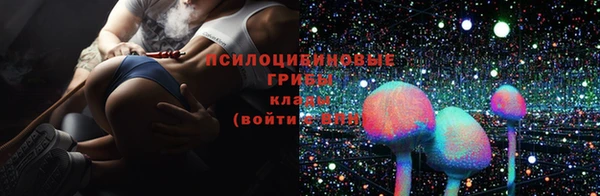 прущие крисы Алзамай