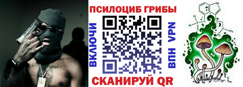 Псилоцибиновые грибы мицелий  Пласт 